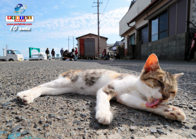 Artigos De Turismo Fukuoka